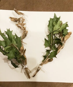 柊とイワシの頭