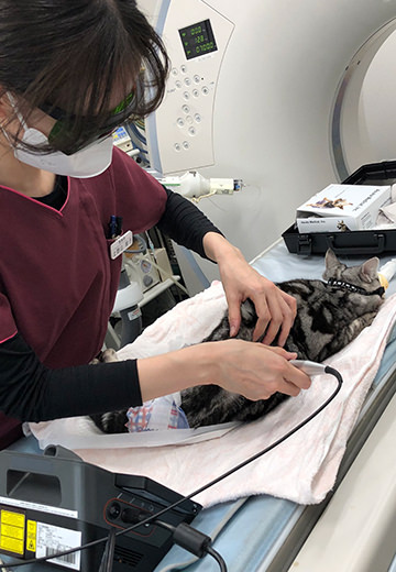 ケピーちゃん治療中